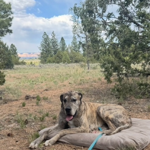 ❤️ QVC 1-99 LIVE SHOW’S WEDNESDAY, FRIDAY, & SUNDAYS 1PM-11PM MST! - Picture 5 of 13